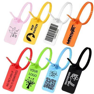 Sicherer Behälter mit schwarzem Tight-Tag und maßgeschneidertem Plastik-Siegelkabel